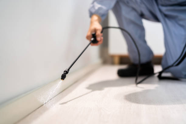 Certified termite inspector examining foundation in Allentown